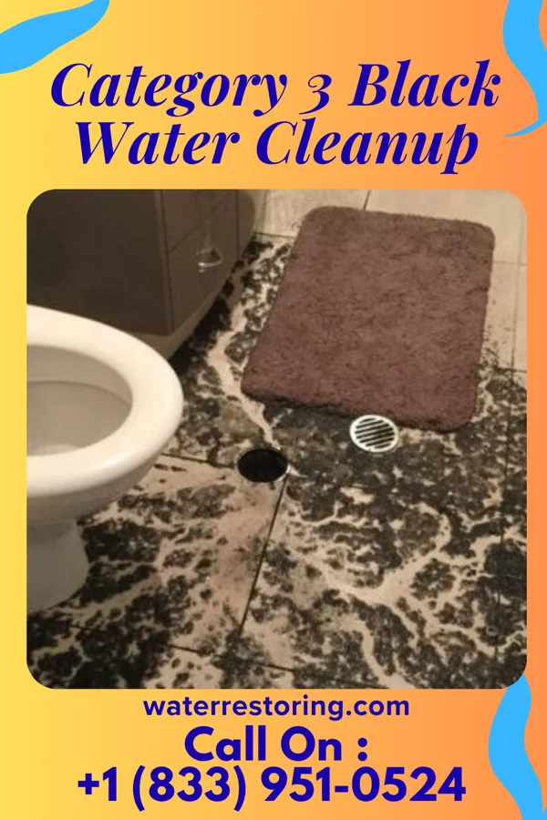 Category 3 Black Water Cleanup in Impact, TX